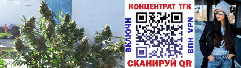 ТГК жижа  Кашин 