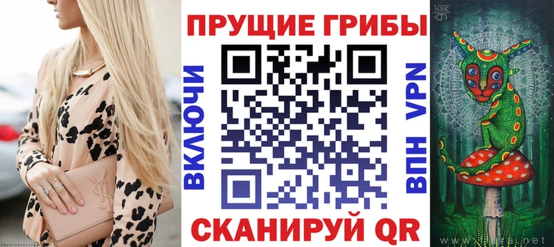 Псилоцибиновые грибы MAGIC MUSHROOMS купить наркотик hydra зеркало Кашин