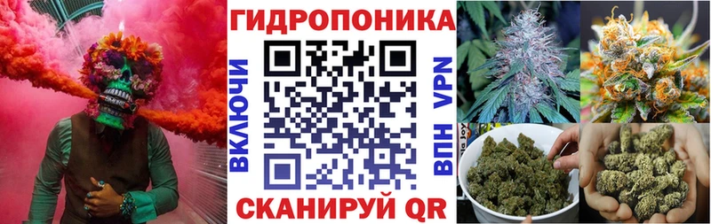 Бошки марихуана конопля  ссылка на мегу ТОР  Кашин  даркнет сайт 